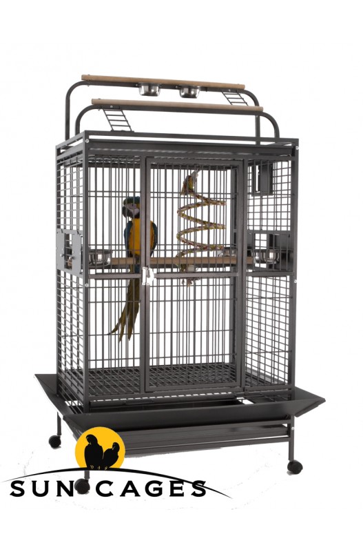 SUN PARROTS JAULA HACIENDA GYM