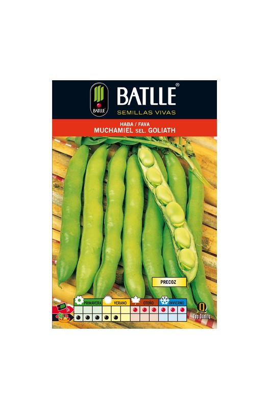HABA MUCHAMIEL 1 KG. SELC.GOLIATH