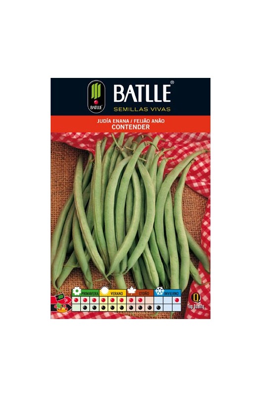 JUDIA CONTENDER 100 GR. ENANA