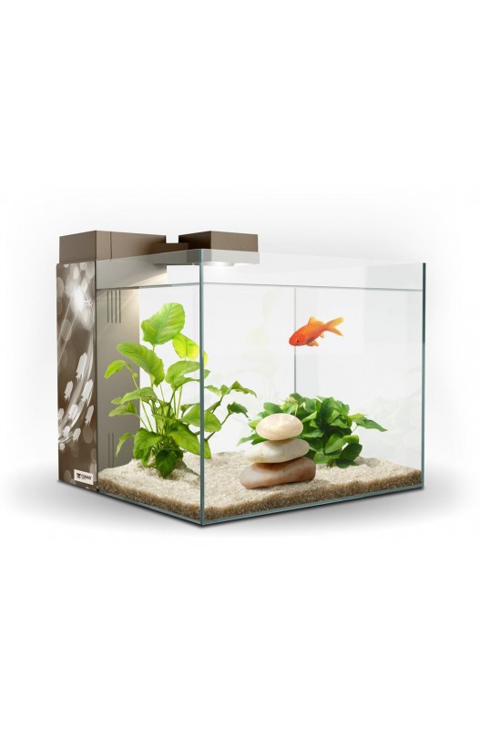 ACUARIO ZENEO 30 ECLAT