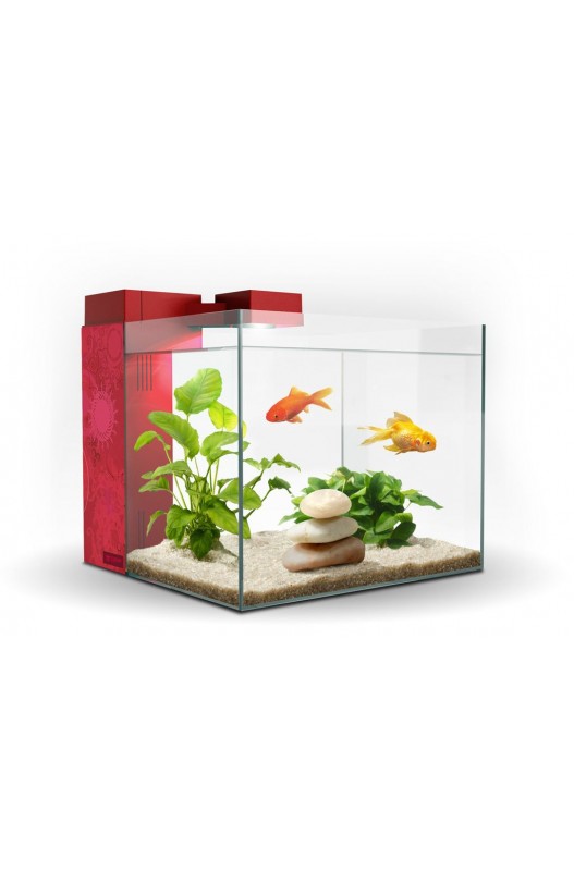 ACUARIO ZENEO 30 JUNGLE