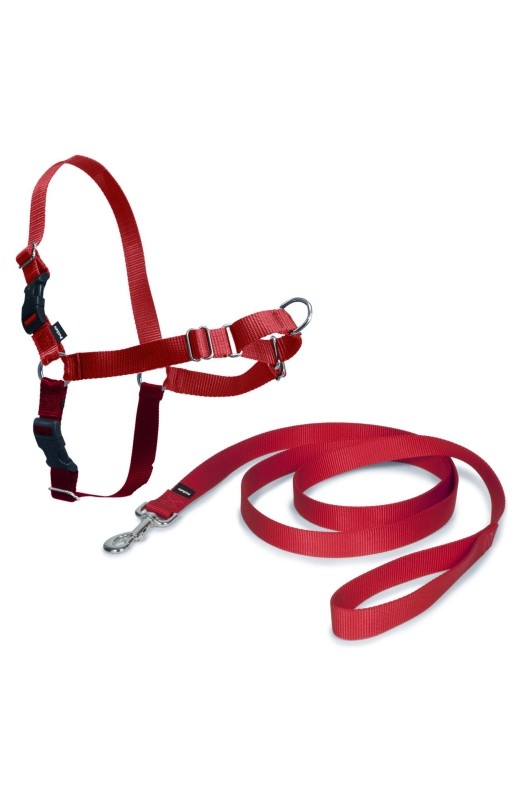 ARNES EASY WALK MEDIANO. ROJO