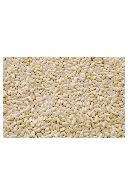 ALAZOR PRODAC 3.5 KG. BOLSA