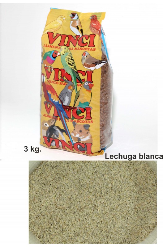 LECHUGA BLANCA PRODAC 3 KG.