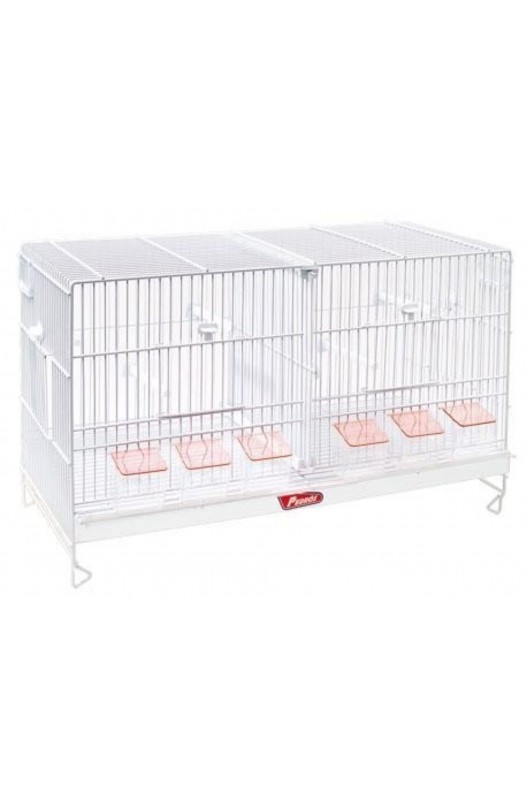 JAULON CRIA 60 NOVA BLANCO