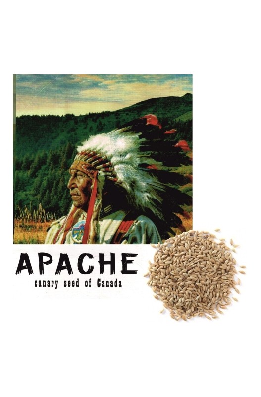 ALPISTE CANADA APACHE 25 KG.