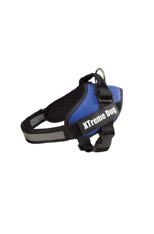 ARNES XTREME DOG AZUL L (70-95cm)