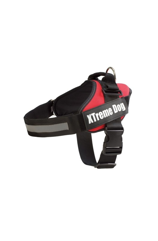 ARNES XTREME DOG ROJO S (50-64cm)