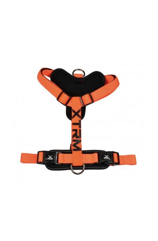 ARNES X-TRM Cronos Neon Flash. Naranja