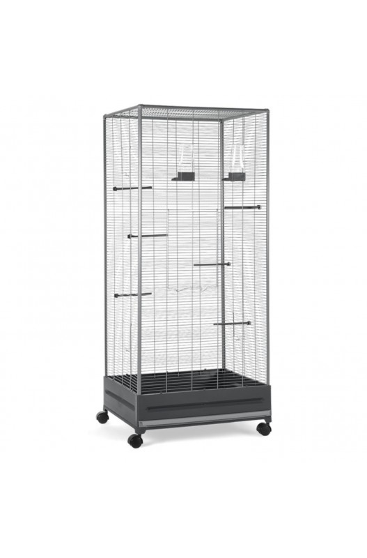 PAJARERA 420 GRIS