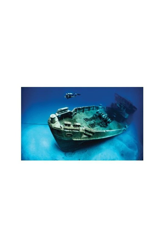 POSTER VINILO PECIO 61x40cm.